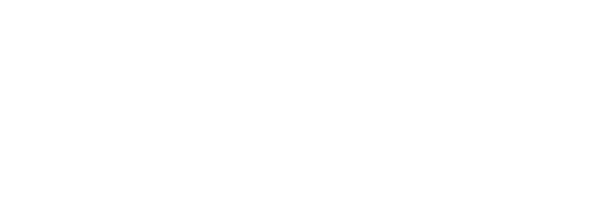 FLYT Logo